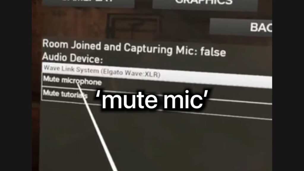 Mute Microphone in ghosts of tabor settings